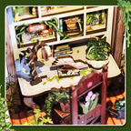 Green Bookshop – Book Nook